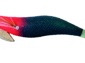 KABO SQUID  XK  3,0 1204