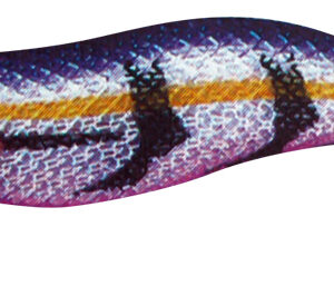 KABO SQUID  LK  2,5 226