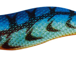 KABO SQUID  LK  3,0 231