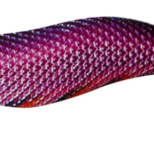 KABO SQUID  LK  2,5 202
