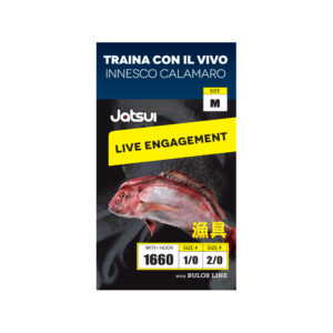 JATSUI LENZA TRAINA VIVO INN. CALAMARO SZ.M
