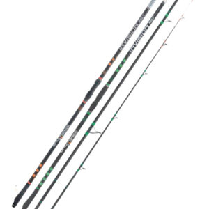 Canna da Pesca Bad Bass Invision Fuji