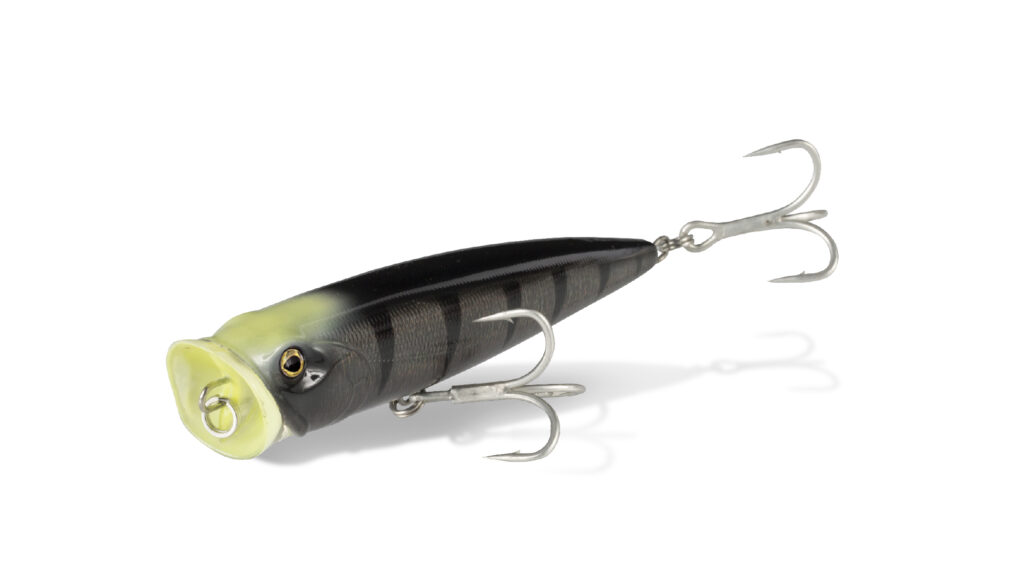 SALT WATER HARD BAITS MULLETS ARHKBE