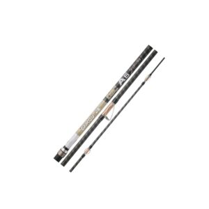 Canna da Surfcasting Yuki A6 DSC Sensitive Usata 4.2Mt
