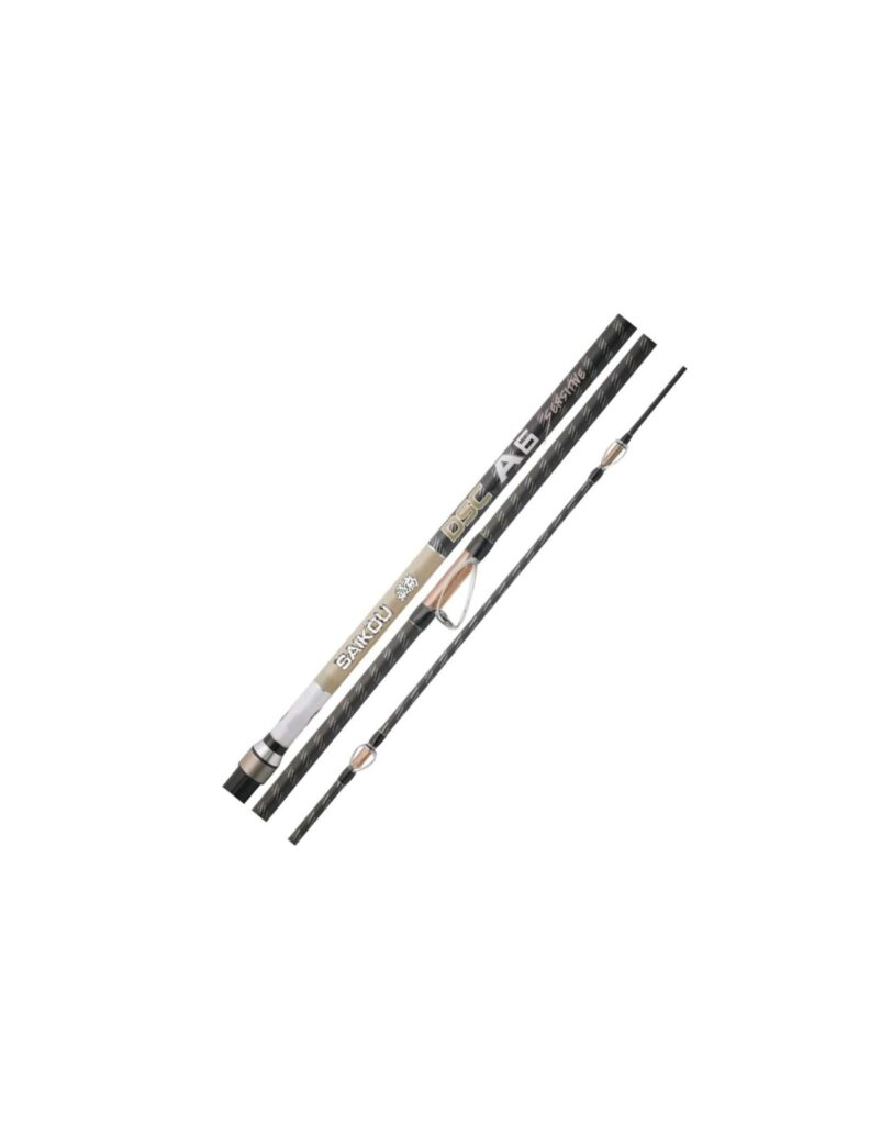 Canna da Surfcasting Yuki A6 DSC Sensitive Usata 4.2Mt