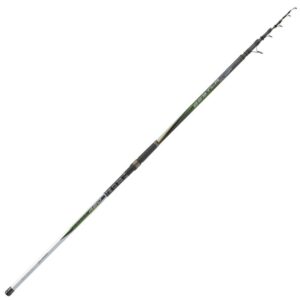 Canna Kali Kunnan Bestla 4205 KF FUJI